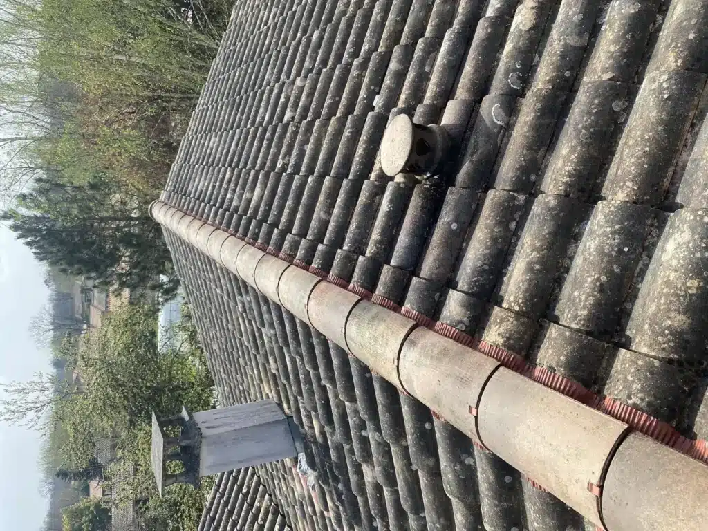 Tuiles canal sombres très moussues. Faîtage moderne scellé, extracteur de toit et souche de cheminée en pierre sous ciel clair.