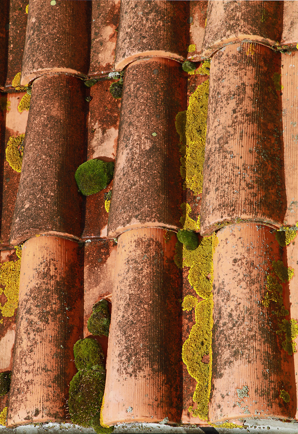 Nos services de nettoyage de toiture